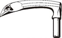 Union Looper