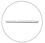 Magnifier with scale